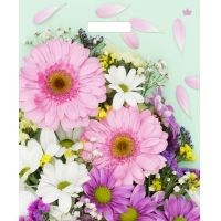 Пакет 380х450 мм, 60 мкм с проруб. ручками, диз. "Нежные герберы", ПВД, 50 шт/упак "Тикопластик" 500 шт/кор РОССИЯ н00229387