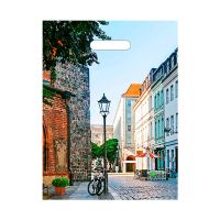 Пакет 310х400 мм, 60 мкм с проруб. ручками, диз. "Улица", ПВД, 50 шт/упак "Тикопластик" 500 шт/кор РОССИЯ н00152351