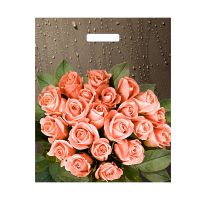 Пакет 380х450 мм, 60 мкм с проруб. ручками, диз. "Розы после дождя", ПВД, 50 шт/упак "Тикопластик" 500 шт/кор РОССИЯ н00161964