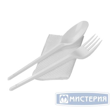 Комплект столовых приборов №3 [лож.ст.+ вил.: 165 мм, бел., ПС+ салф.], 300 шт/кор 300 шт/упак РОССИЯ 501323